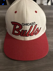Chicago Bulls Mitchell & Ness Team Script Snapback Hat - Picture 1 of 5