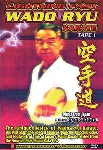 Lightning Fast Wado Ryu Karate Vol.1 Basic Techniques DVD - Picture 1 of 1