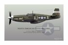 WWII WW2 USAF P-51 Mustang Ace Ding Hao Aviation Art Profile Photo Print 18?x12?