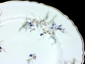 Haviland Louis XIV VIOLETS & FERN H670 Dinner Plate (6 left) - Picture 1 of 6