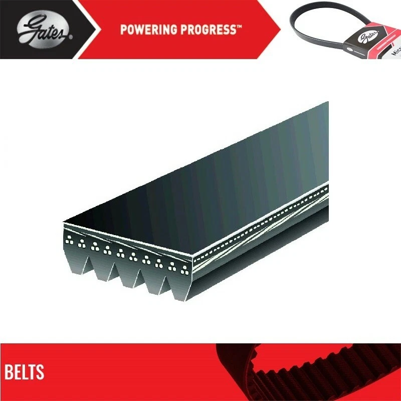 Gates Fan and Alternator Belt For 1987-1988 CHEVROLET R30 V8-5.7L - Image 1 of 4