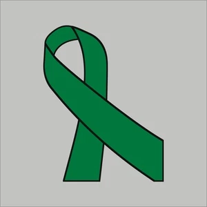 Calcomanía de vinilo cinta verde #2 ventana de coche cinta verde varios gráficos - Imagen 1 de 4