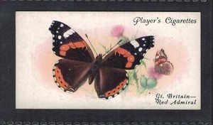 RED ADMIRAL - 90 + year old English Tobacco Card # 17