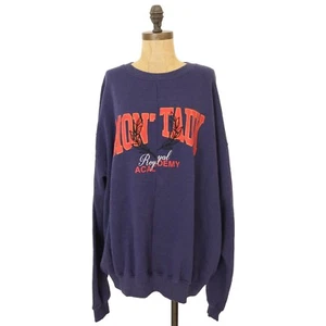 BDG Urban Outfitters Montauk Unisex Splice Graphic Sweatshirt Size L Blue NEW A2 - Picture 1 of 7