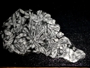 Pinolithplatte- 5 7/8" x 3 3/8"-grob-Kabbel-Display-Sammeln-Geologie - Bild 1 von 3