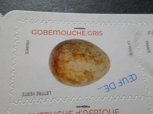 FRANCIA 2020, Timbro Autoadesivo Uovo Di Uccello Gobemouche Grigio, Nuovo**, MNH - Foto 1 di 1