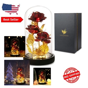 Eternal Red Rose in Glass Dome with LED Lights - Ideal Valentine's Gifts for Her - Picture 1 of 9