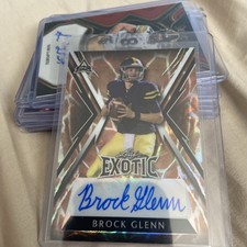 Brock Glenn 23 Leaf Exotic Giraffe Kaleidoscope 2/3