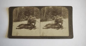 Fotografía Stereoview CAZADORA DE OSOS EN WYOMING EE. UU. 1904 Tarjeta 3D - Imagen 1 de 4