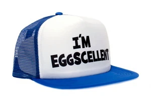 Regular Show- I'm Eggscellent Hat Royal Flat Cap Eggcelent Excellent - Picture 1 of 1