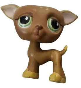 Littlest Pet Shop 507 Lps Auténtico Marrón Galgo Perro Lágrima Ojos Verdes - Imagen 1 de 3