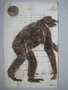 Pittore Norbert Fleischer disegno originale opera d'arte pezzo unico firmato - Foto 1 di 8