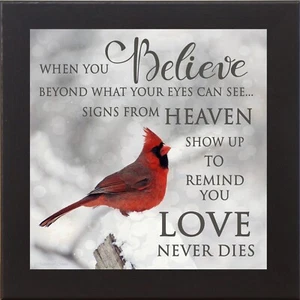“When You Believe” – Framed Cardinal Sympathy Art by Summer Snow - Picture 1 of 22