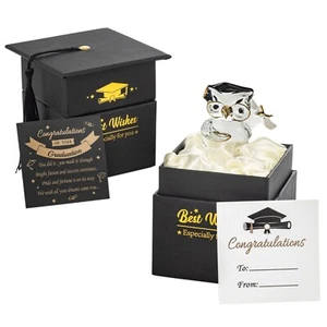 Graduation Gift Crystal Glass Owl Present Graduation Gifts for Her/Him Keepsake - Picture 1 of 7