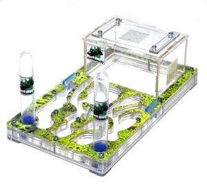 Ant farm - Horizontal formicarium - for 600 ants - with arena - middle size - Picture 1 of 11