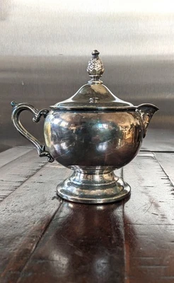 Tetera WM ROGERS chapada en plata vintage, 5" de altura, tetera antigua Foto 1 de 4