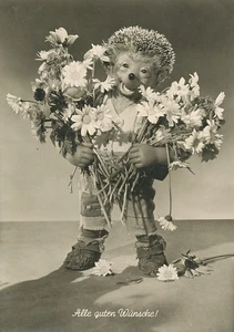 Mecki 27: Alle guten Wünsche! ngl 110.669 - Bild 1 von 1