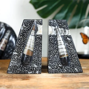 Marmor Buchstützen mit versteinerten Orthoceras - Bild 1 von 8