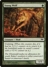 4x Young Wolf x4 MTG Dark Ascension LP