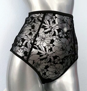 NWT Victorias Secret Luxe Lingerie Embroidered Cheeky Panty Mesh High Waist S - Picture 1 of 4