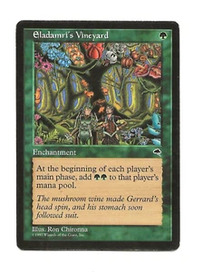 ELADAMRI'S VINEYARD Tempest English Viñedo de Eladamri Tempestad MTG VG /Played - Imagen 1 de 1