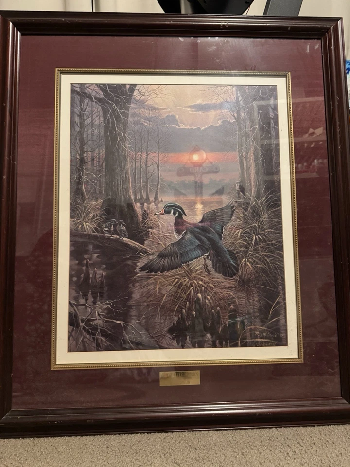 R.J. McDonald, Ghost River Woodies, 17 x 21,25 litografía de aves acuáticas firmada/numerada Foto 1 de 4