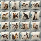 Cute Pet Best Friend Cat Dog Kitty Square Pillow Case Sofa Couch Cushion Covers