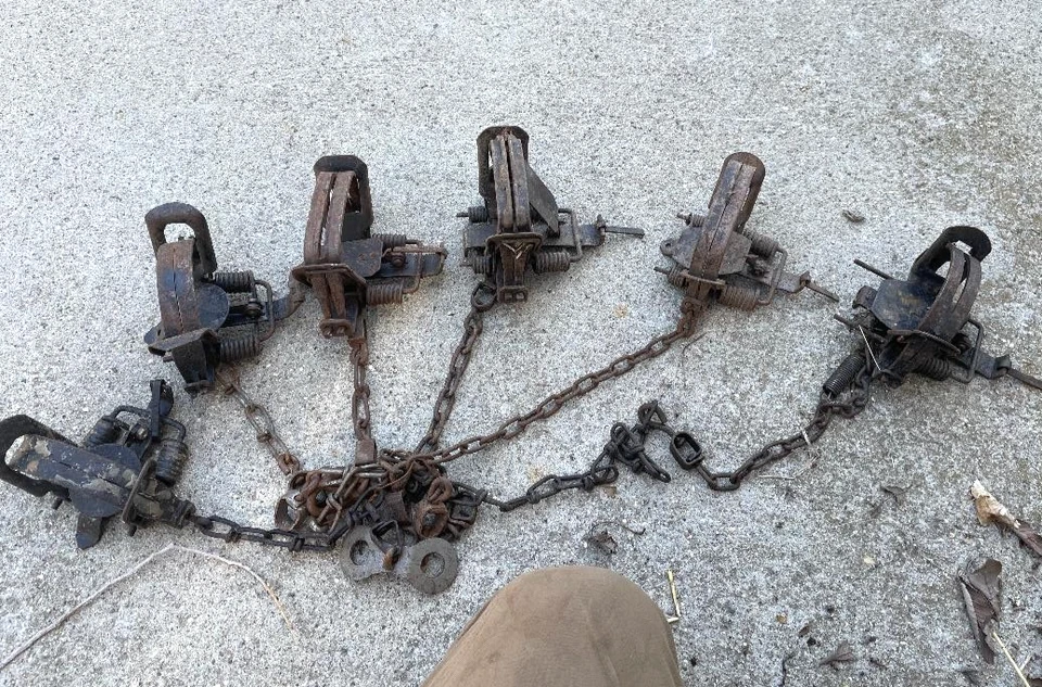 6, Bridger, Northwoods, Victor, Sleepy Creek, coyote, fox, bobcat, otter, 6asso - Image 1 of 3