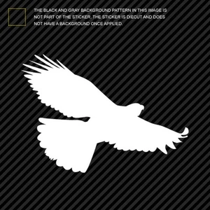 (2x) Eagle Sticker Die Cut Decal Self Adhesive Vinyl bird accipitridae #3 - Picture 1 of 1