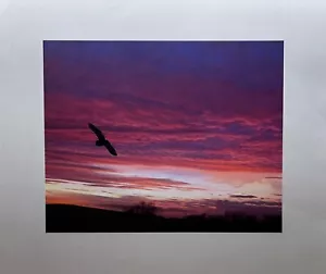 Personalised Mothers Day Gift Quality Printed Photographs 8"x10" +2" Border - Picture 1 of 2