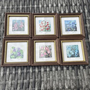 6x KATHLEEN FREETH Ltd Ed. Stampe con cornice floreale acquerello numerato firmato - Foto 1 di 8