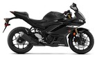 2019 Yamaha YZF-R3 ABS 