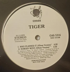 TIGER - WHO PLANNED IT / NOBODY MOVE PROMO 12" SINGLE VINYL RECORD NM/NM- - Imagen 1 de 1