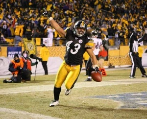 Pittsburgh Steelers Troy Polamalu 8x10 Photo NFL Football Print #8 - Picture 1 of 1