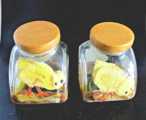 Zwei kleine Glas Kanister Set mit Holzdeckel handbemalt Hühner & Eier - Bild 1 von 6