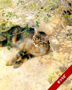 CASA GATO DESCANSANDO AL SOL PINTURA ANIMAL MASCOTA ARTE IMPRESIÓN DE LIENZO REAL - Imagen 1 de 1