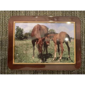 Tin Can with Photos of Horses - Picture 1 of 3
