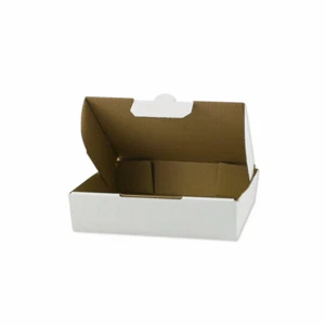 100 Stück 180x130x45 mm Maxibrief Maxi Faltkarton Warensendung Versand 180 weiss - Bild 1 von 1