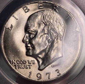 1973-D Ike Dollar ANACS GRADED MS66! Impeccable Modern Coin!!! - Picture 1 of 3