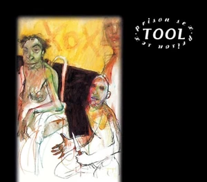 TOOL Prison Sex BANNER 5x5 Ft Fabric Poster Tapestry Flag album cover art sign - Picture 1 of 3