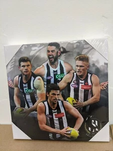 AFL Collingwood Magpies Player Canvas Wall Hanging 19cm Square Jersey football - Picture 1 of 2