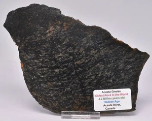 ACASTA GNEISS SLICE, "OLDEST ROCK" HADEAN AGE, CANADA S466 - Imagen 1 de 4
