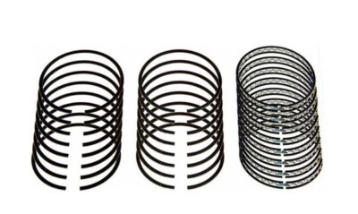 Bloque pequeño sellado Power E251X40 SBC Chevy 350 383.040 sobre anillos de pistón 4.040" Foto 1 de 4