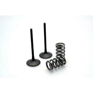 Envío gratis kit de valvula acero y muelle prox escape suzuki 28.ses3408-1 para - Foto 1 di 1
