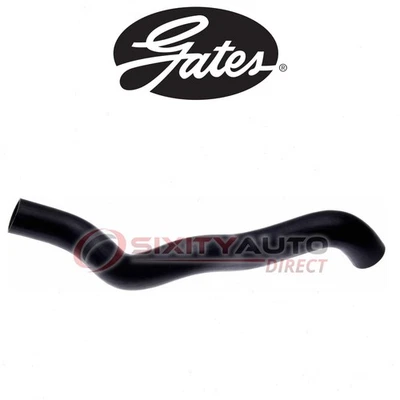 Gates Upper Radiator Coolant Hose for 1982-1986 Chevrolet C10 6.2L V8 - az Foto 1 de 4