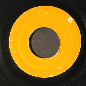 DELROY WILSON: i can't explain / betta must come BLANK 7" Single 45 RPM Jamaica - Picture 1 of 2