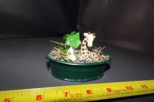 Giraffe in a Decorative Mini Oval Bucket Plastic Plant VERY NICE - Picture 1 of 6