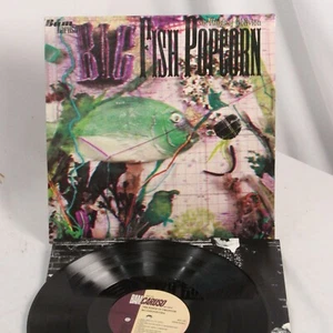 Kings of Oblivion LP Records Big Fish Popcorn Psych Rock  - Picture 1 of 12