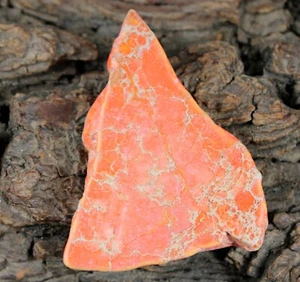 Natural Orange Carico Lake Turquoise 73.10 Ct/50 mm Polished Rough Slab T6038 - Bild 1 von 7
