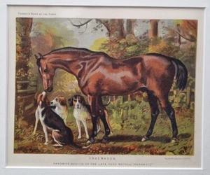 1880's Antique HUNTING HORSE Print FREEMASON Hugo Meynell Ingram Chromo - Picture 1 of 1